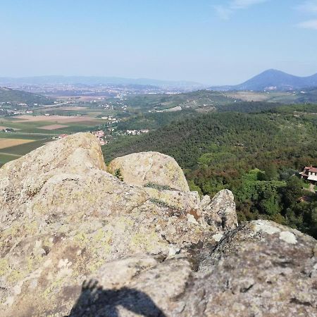 B&B Martina Agugliaro Bagian luar foto